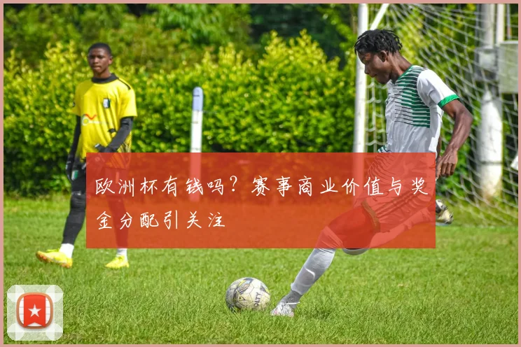 欧洲杯有钱吗?赛事商业价值与奖金分配引关注