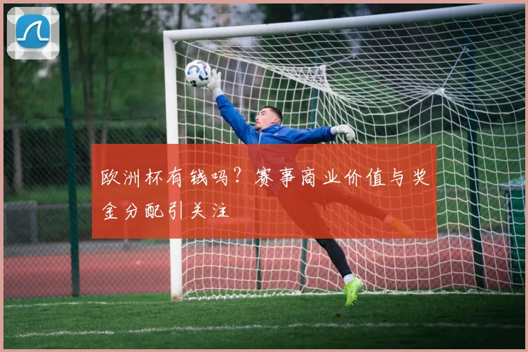 欧洲杯有钱吗？赛事商业价值与奖金分配引关注