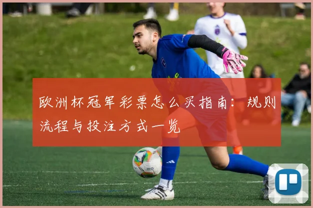 欧洲杯冠军彩票怎么买指南:规则流程与投注方式一览