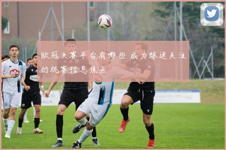 欧冠决赛平台有哪些 成为球迷关注的观赛信息焦点