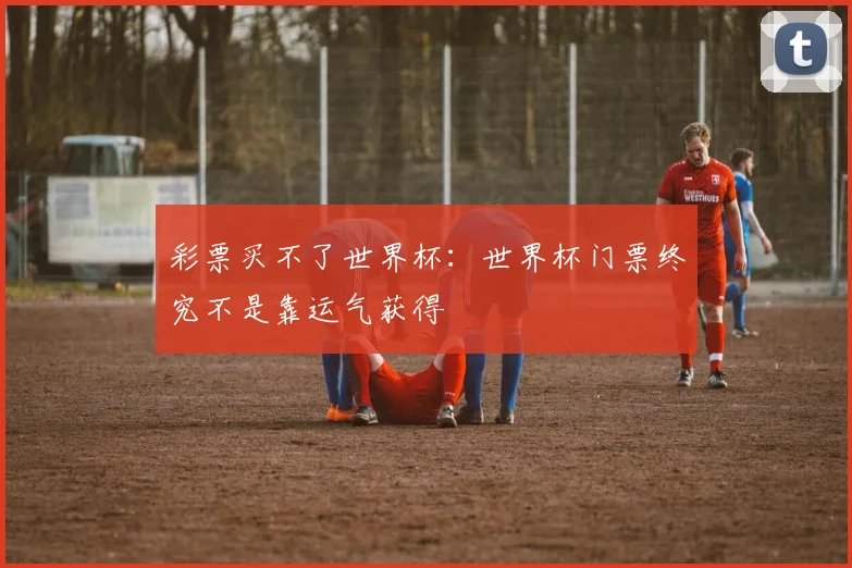 彩票买不了世界杯:世界杯门票终究不是靠运气获得