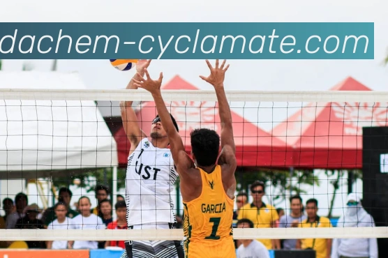 ayx平台官网入口APP 高清赛事图